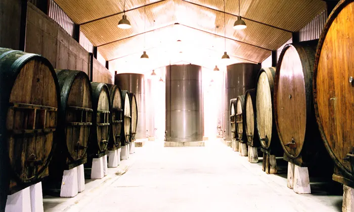 Aisle in the Gurutzeta cellar, with wooden kupelas (casks) on both sides and steel tanks at the back
