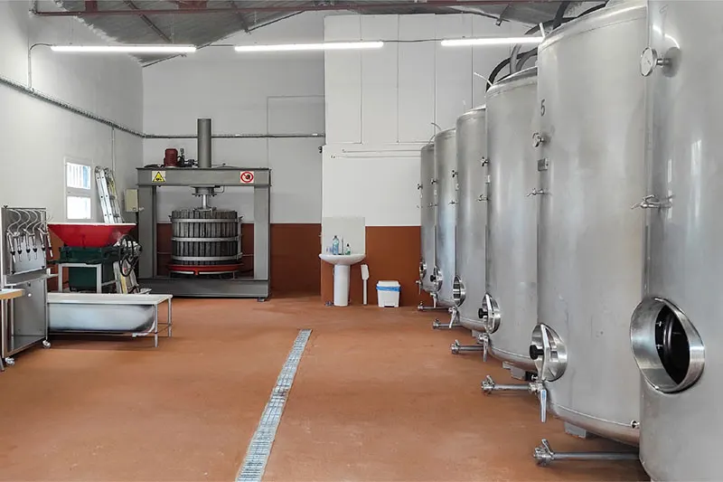 Perkatzenea's cellar, with the press at the back and the stainless steel tanks in a row