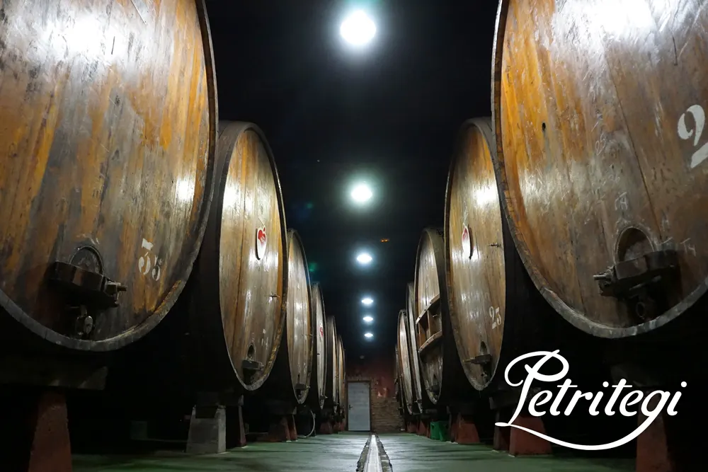 Aisle of large wooden kupelas (casks) in the Petritegi cellar