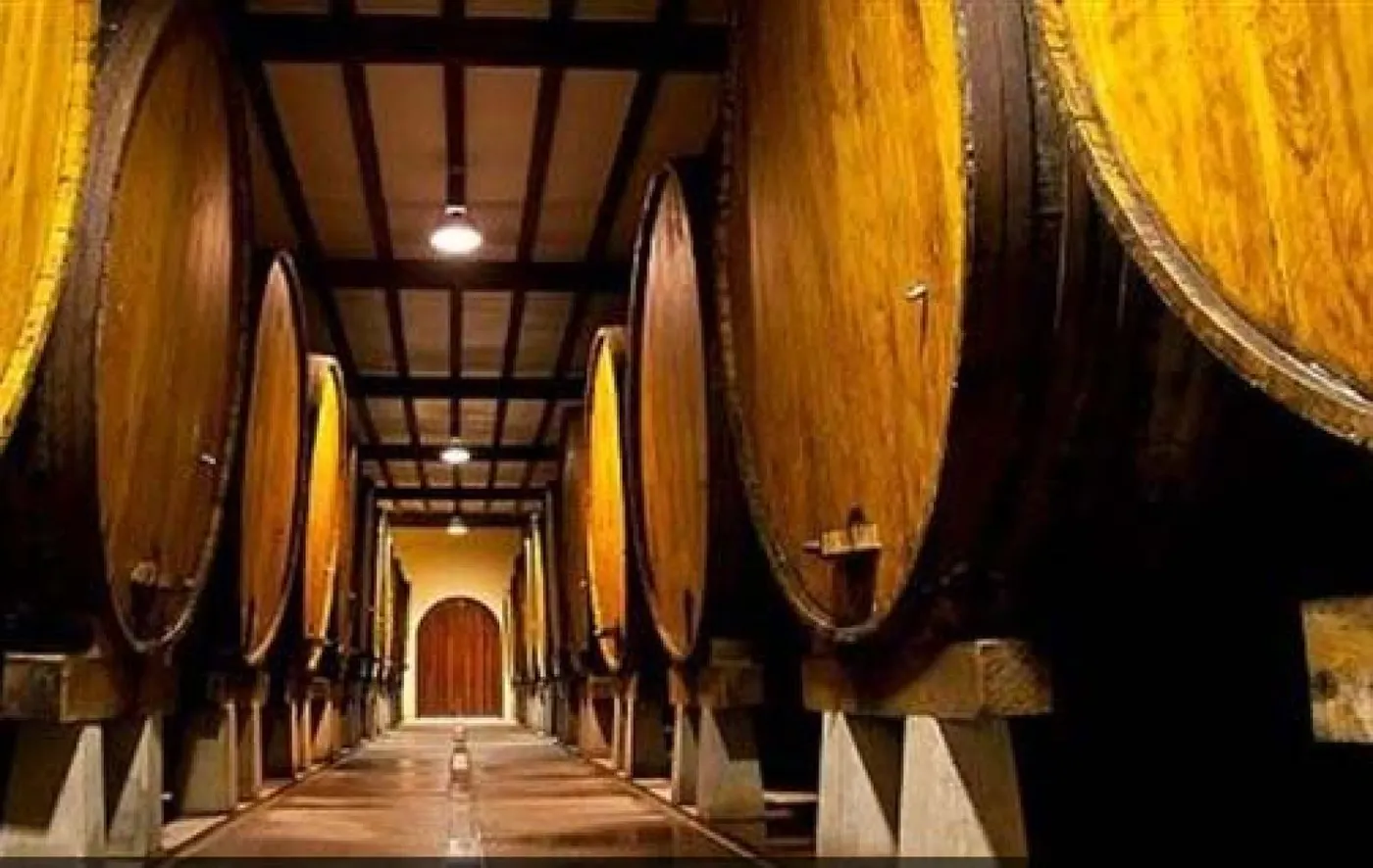 Sidrerías 2024, etimología y gastronomía