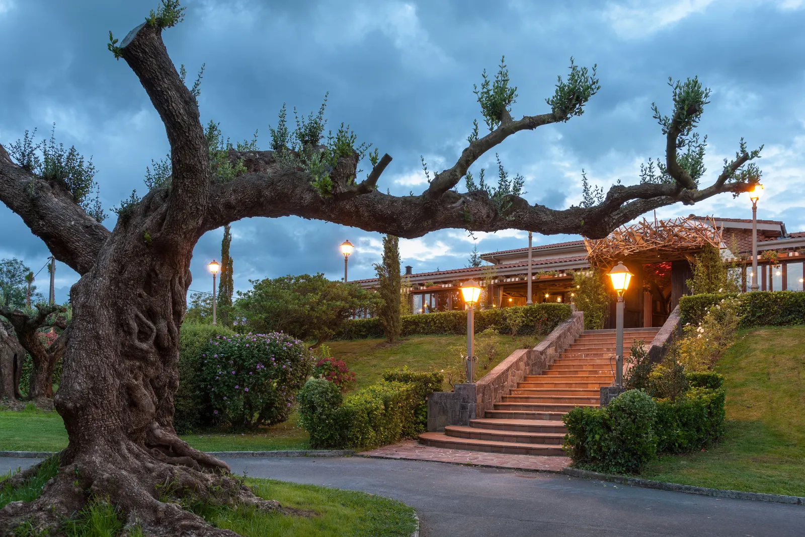 Jardines de la sidrería Araeta al atardecer, con un olivo centenario, farolas y una escalera que sube hasta el edificio