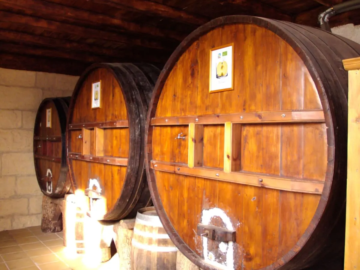 Grandes kupelas de madera barnizada en la bodega de la sidrería Arratzain, con paredes de piedra