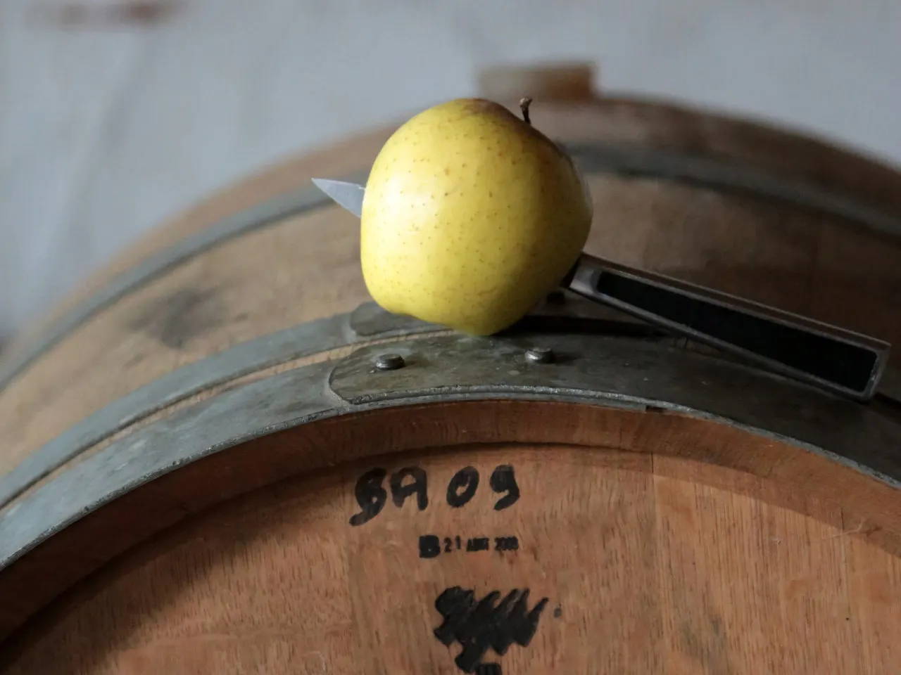 Una manzana amarilla pinchada en una navaja sobre una barrica de roble