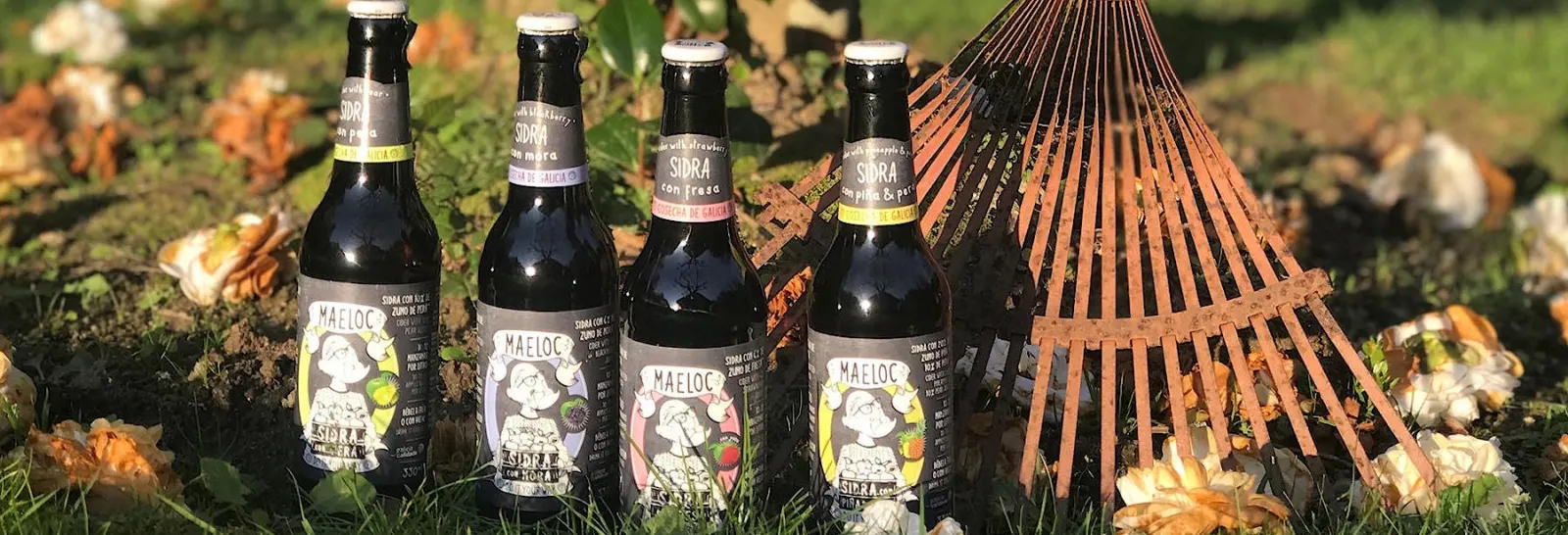 Cuatro botellas de sidra Maeloc con fruta sobre la hierba, junto a un rastrillo