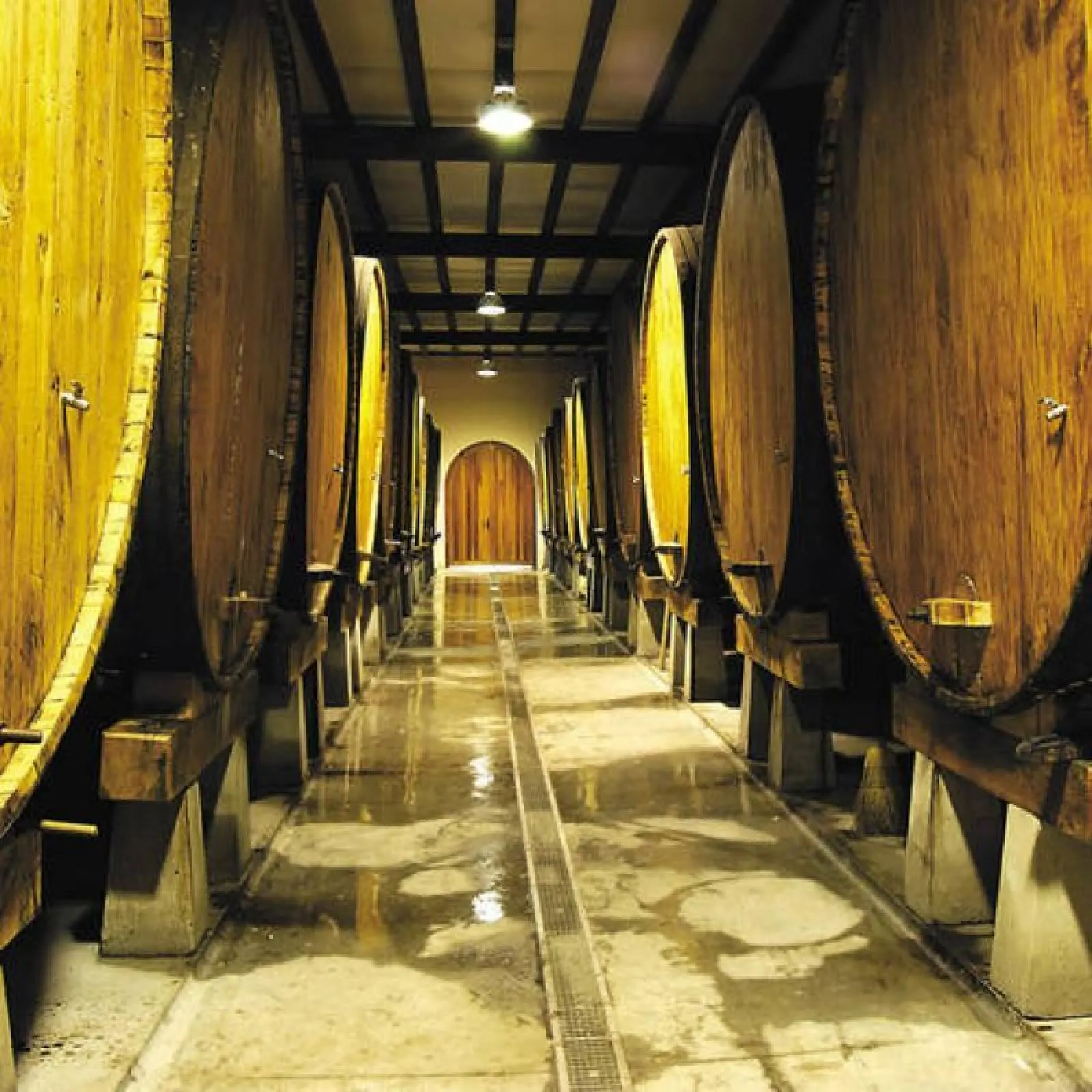 Sidrería Saizar en Usurbil
