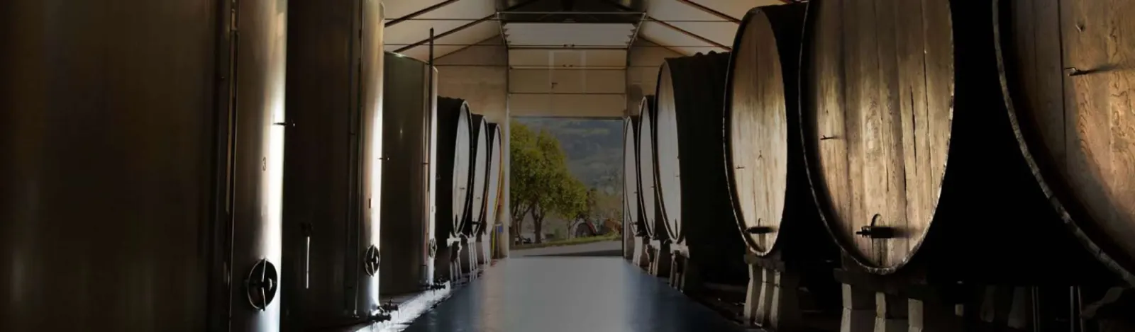 Pasillo de bodega entre depósitos de acero y grandes toneles de madera, con la puerta abierta al campo