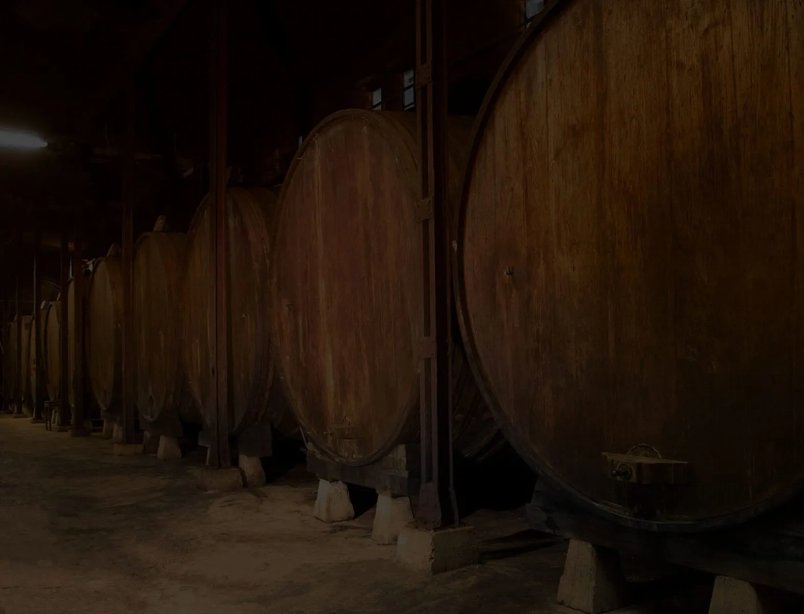 Hilera de grandes toneles de madera en la bodega en penumbra del llagar