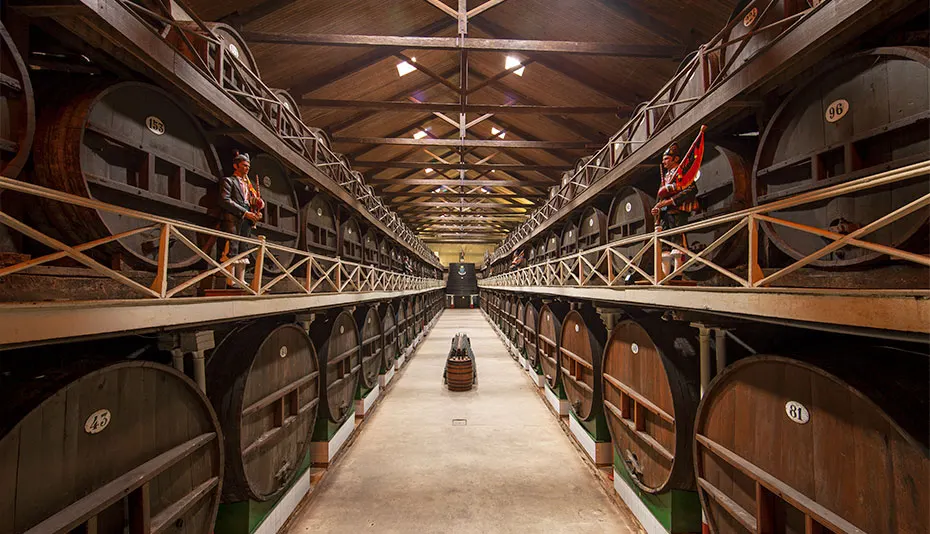 Pasillo central de la bodega con toneles a ambos lados