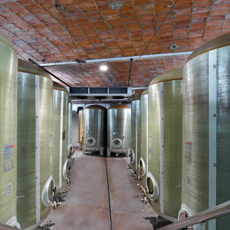 Cider mill hall with wooden barrels