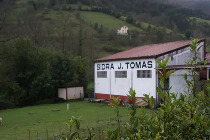 Nave del lagar con el rótulo «Sidra J. Tomas», rodeada de prados y ladera arbolada