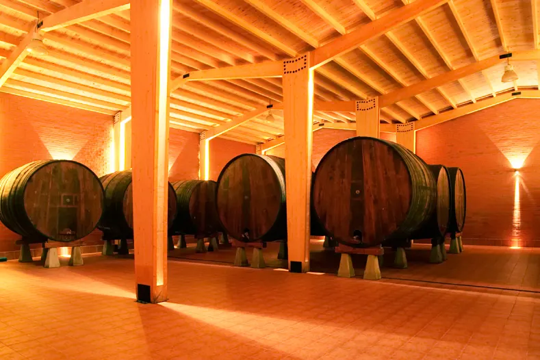 Sala de la bodega con grandes toneles de madera bajo una cubierta de vigas iluminada