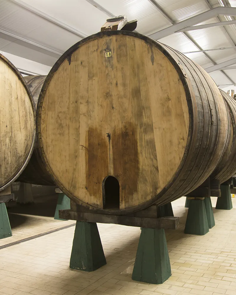 Tonel de castaño numerado sobre soportes verdes en la bodega del lagar