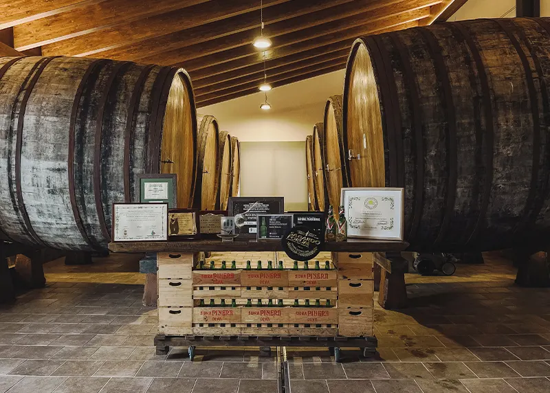 Bodega de Sidra Piñera con grandes toneles y los premios del llagar expuestos