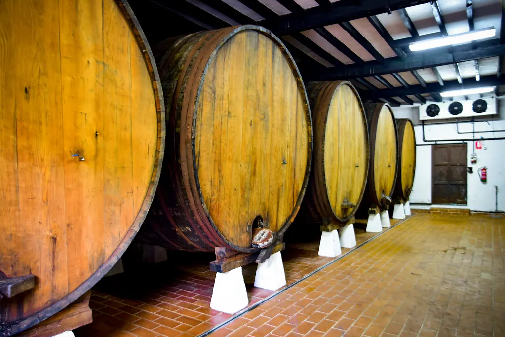 Hilera de toneles de madera en la bodega del llagar
