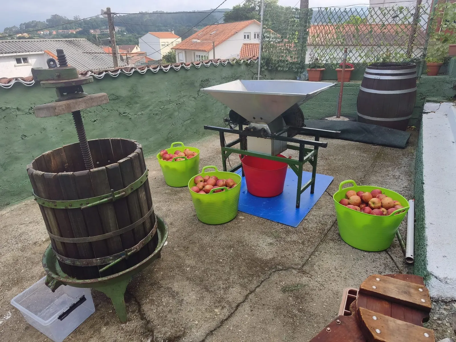 Prensa tradicional de madera y trituradora con cubos de manzanas